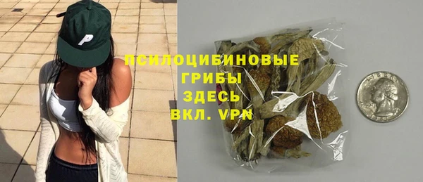 круглые Гусев