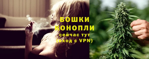 круглые Гусев