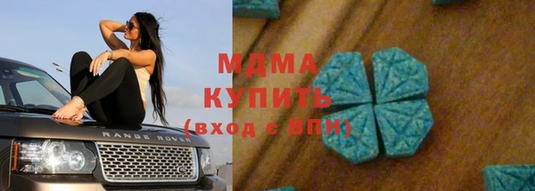 круглые Гусев