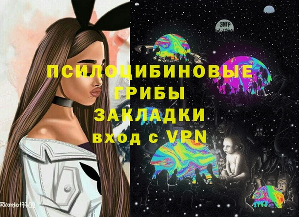 круглые Гусев