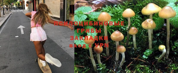 дживик Гусиноозёрск