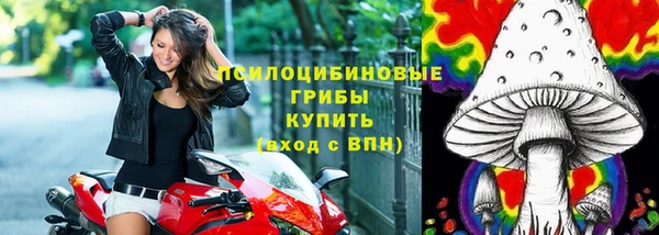 круглые Гусев