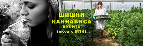 дживик Гусиноозёрск