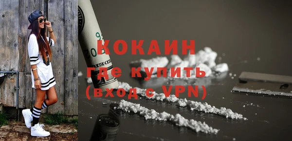 круглые Гусев