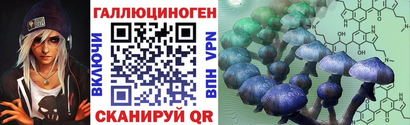 Галлюциногенные грибы Psilocybe  Купить где  Новотроицк 